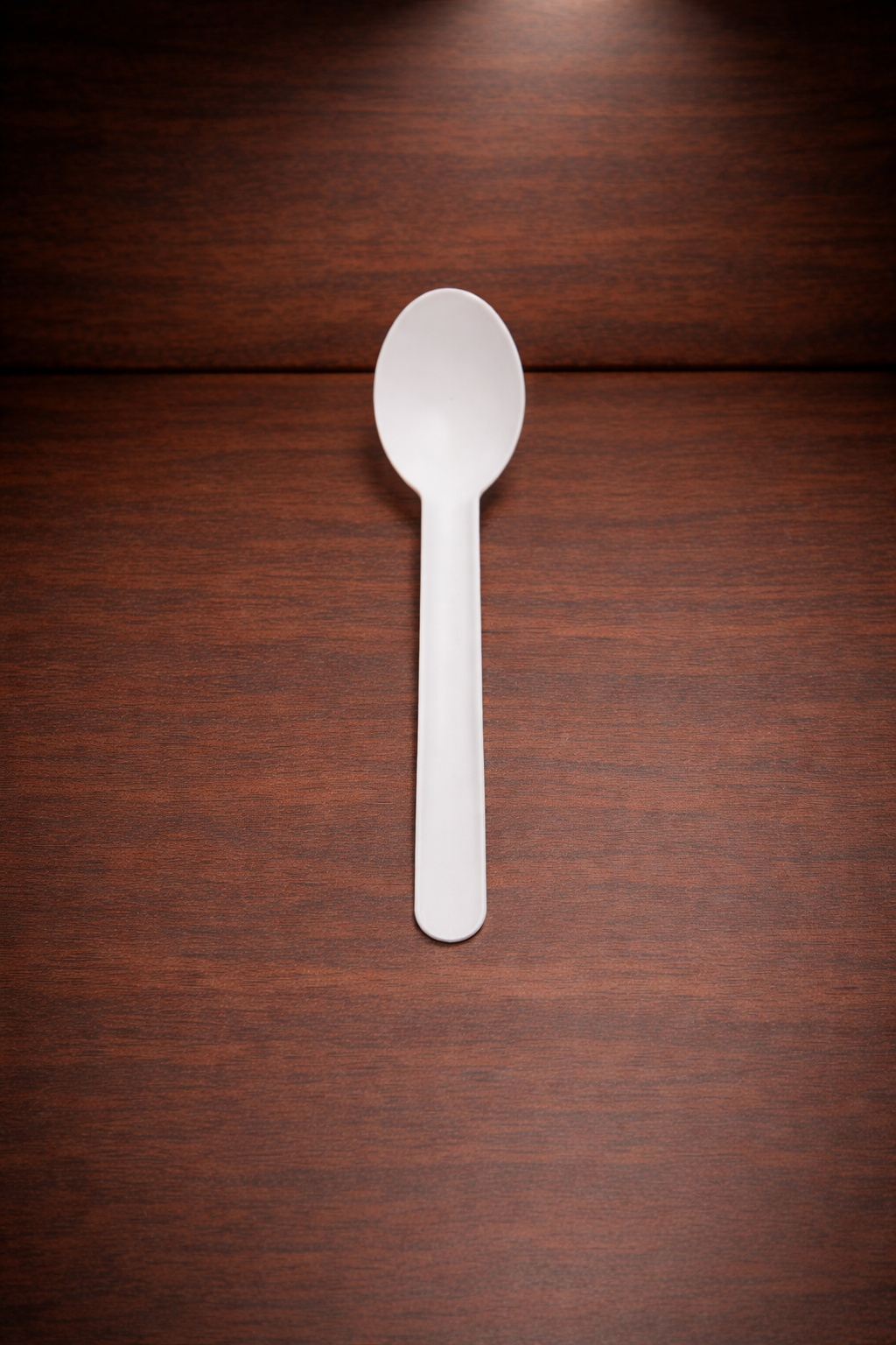 Compostable Bagasse Spoon